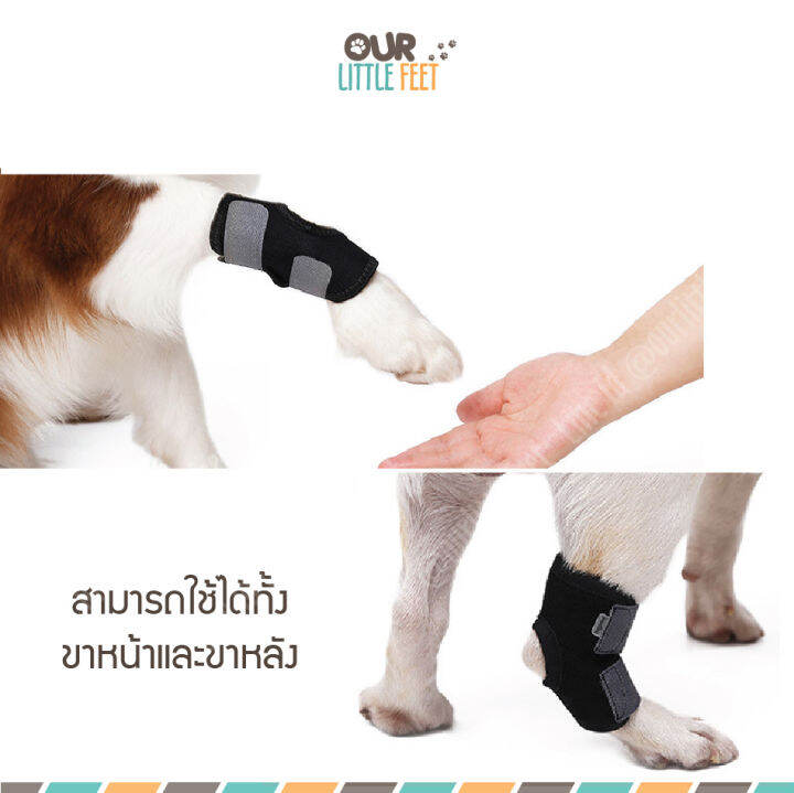 ผ้ารัดขา-เฝือกอ่อน-หลังผ่าตัด-บรรเทาอาการข้อขาอักเสบ-ขาอ่อนแรง-สำหรับสุนัขพันธุ์ขาสั้น