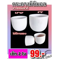 กระถางมินิมอลคละไซต์5.3&amp;6/เซ็ท2ใบ/ไม่มีจานรอง