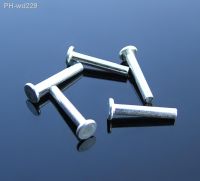 Flat Head Cylindrical Pin Positioning Pin 2x13mm/2x21mm Locating Pins Shaft Hardware Fastener