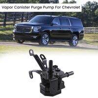 24113557 Car Vapor Canister Purge Pump for /