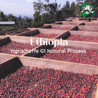 สารกาแฟ Ethiopia Yigracheffe G1 Natural Process