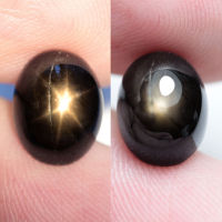 4.90 ct Black Star Sapphire 6 Star ไข่หลังเบี้ย