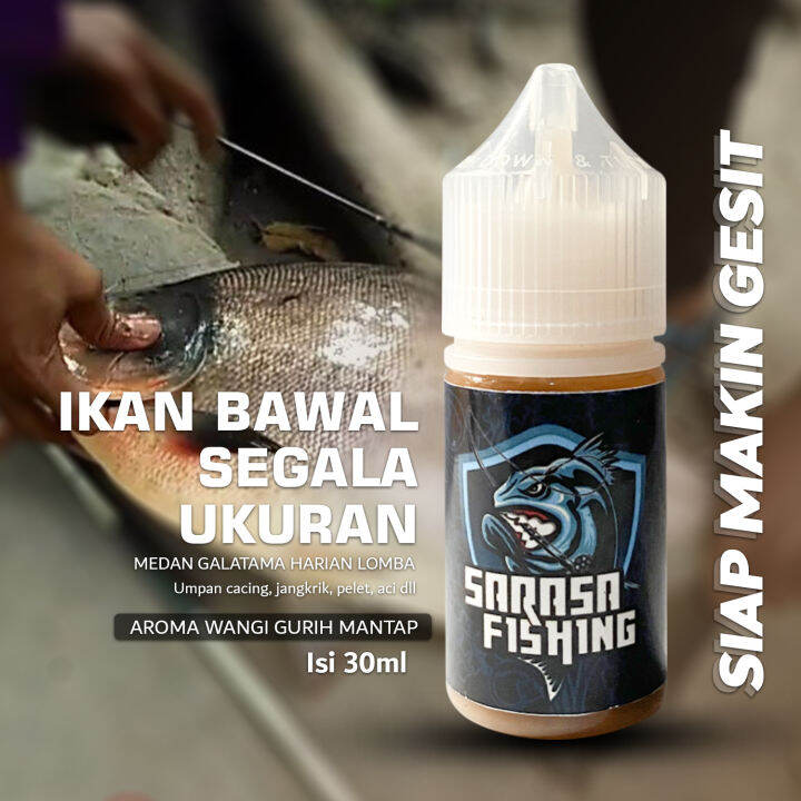 Sarasa Essen Ikan Bawal Indukan Harian Lomba Galatama Masteran Aroma