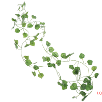 LQ 2.0M artficial VINE Green Plants Leaf แขวนตกแต่งหวาย Liana Wall Leaves