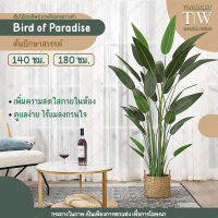 Twilight ต้น Bird of Paradise ? ต้นปักษาสวรรค์ปลอม ต้นไม้ปลอมตกแต่งบ้าน ตกแต่งสตูดิโอ แต่งห้อง ต้นสวยใบสวย เหมือนจริง ปรับฟอร์มใบได้