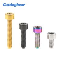 Catdogbear Titanium Ti Bolts M3 X 6 8 10 12 15 18mm Inner Hexagon Screws DIN912 for Bike Ti Fastener