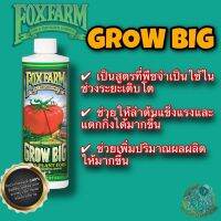 [พร้อมส่ง]!!!ลดGrow Big by Fox Farm ปุ๋ยช่วยทำใบ แตกกิ่ง[สินค้าใหม่]