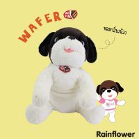 Rainflower สุนัขเวเฟอร์  (นาโน)