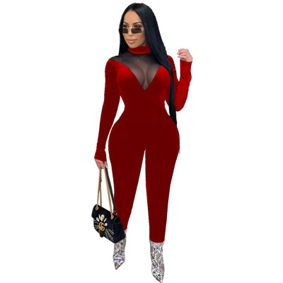 Sheer Mesh Velvet Rompers Womens Jumpsuit Fashion High Necked Full Sleeve One Piece Bodysuit Vintage See Through Bodycon Catsuit