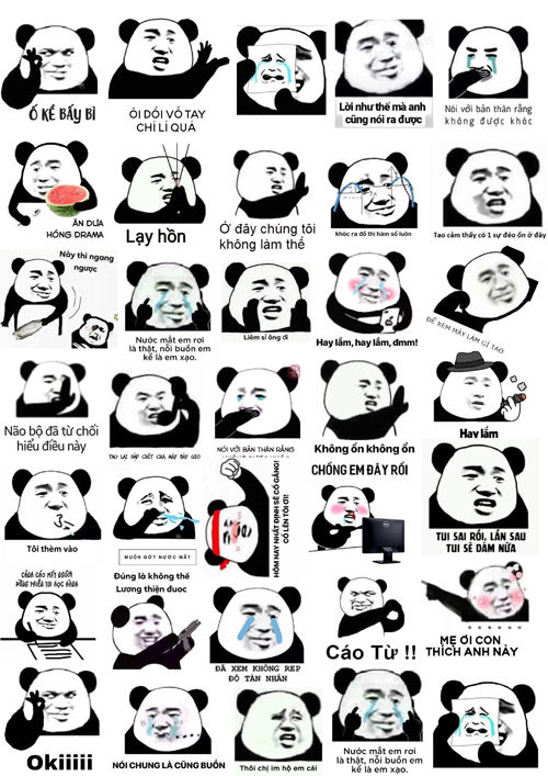 123 Hình Ảnh Meme Gấu Trúc Weibo Cực Bựa Hài Vãi Cả Răng