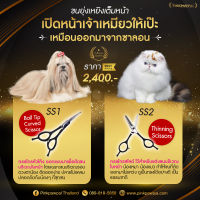 Pinkpawpal Ball Tip Curved and Thinning Scissors กรรไกรตัดแต่งขนสุนัข ขนแมว คุณภาพสูง