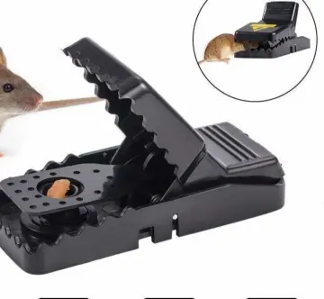 Shop Sticky Transparent Mouse Trap For Big Rat with great