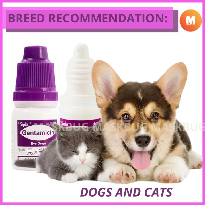 [DR.ROSSPH] SINPHAR GENTAMICIN Eye Drops for Pet Prevent Irritation