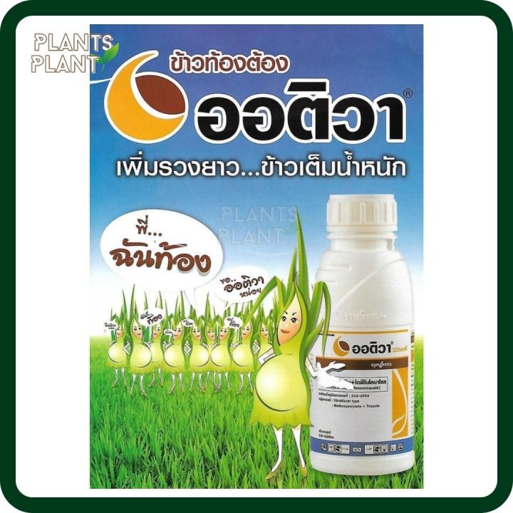 ออติวา-250ml-500ml-ไดฟีโนโคนาโซล-อะซอกซีสโตรบิน-สารป้องกันกำจัดโรคพืช-เชื้อรา-โรคกาบใบแห้ง-กาบใบเน่า-ทำผิว