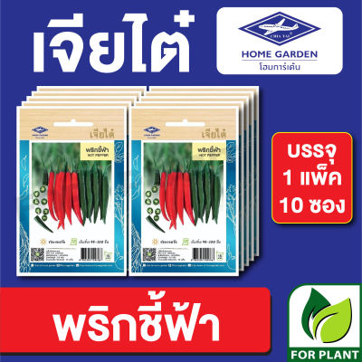 ผักซอง เจียไต๋ CT15 เมล็ดพันธุ์ พันธุ์ผัก พริกชี้ฟ้า บรรจุแพ็คล่ะ 10 ซอง ราคา 70 บาท