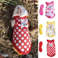 Adjustable Polka Dot Star Strawberry Print Pet Harness Guinea Pig Hamsters Rabbit Vest Small Pet Escape-Proof Harness With Leash Leashes