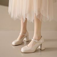 2023 Branded Pumps Beige High Heels Square Toe Chunky Sandals Lolita Shoes Clogs for Women Latest Fashion 12cm Block Mary Jane S