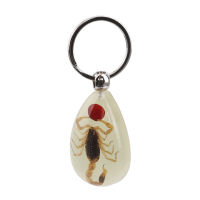 Luminous Real Insect Key Chain - New Luminous Product Real Ant And Scorpion Keychain Bag Car Key Ring