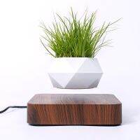 Magnetic Bonsai Pot Room Decor Floating Rotation Flower Pot Modern Home Decoration Office Desk Accessories Planters Ornaments