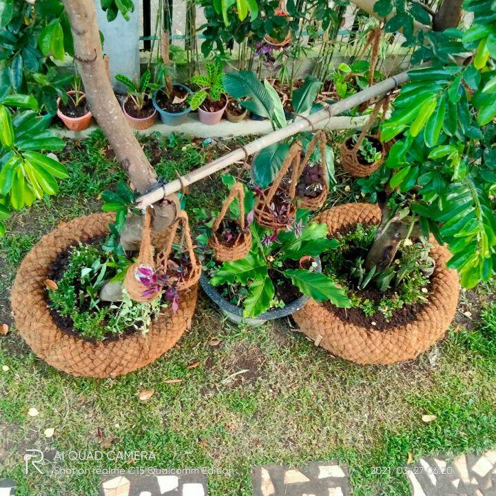 cocolog-20cm-x-3-meters-lazada-ph