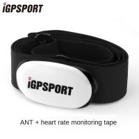 IGPSPORT C61จักรยาน ANT + ใหม่เครื่องตรวจจับความถี่ Sensor สนับสนุน GARMIN แม่เหล็ก GARMIN จักรยานเสือหมอบ สินค้าเฉพาะจุด สปอตสินค้า สปอตสินค้า สินค้าสปอต สินค้าสปอต A วันวาเลนไทน์ ของขวัญ กำนัล gift