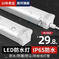 LED strip light IP65 waterproof strip three-proof cold storage antifreeze and moisture-proof 220V bathroom bathroom outdoor lighting