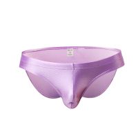 WOXUAN Brand Man Sexy Nylon Seamless Bulge Pouch Briefs Underwear Gay Male Silk Slips Bikinis Briefs Panties