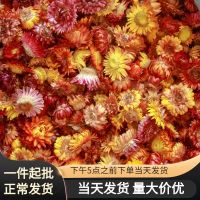 [COD] Mei Muer chooses colorful chrysanthemum daisy flower decoration diy group fan photo frame dried