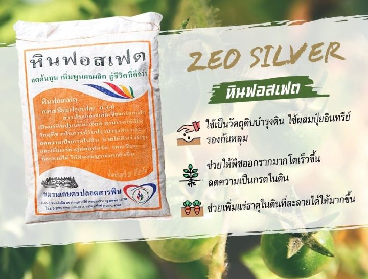 thaigreenagro-หินฟอสเฟต-rock-phosphate-แคลเซียมฟอสเฟต-กระตุ้นราก-เพิ่มแคลเซียม-แก้ดินกรด-ดินเปรี้ยว-เร่งการเจริญเติบโต-20-kg