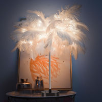 LED Feather Light Fairy Table Lamp - Adjustable Warm White Table Lamp Night Light for Home Decor