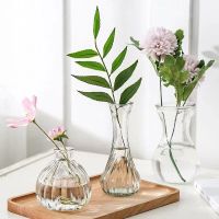 MUJI High-end super value three-piece set creative simple hydroponic plant glass vase flower pot transparent hyacinth water cultured green radish vase