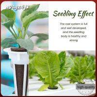 W0AGZ4J2 30ชิ้น/ชุดคุณภาพสูงสวนอุปกรณ์ Hydroponic Soilless ตะกร้า Grow ปลูกพืชสติกเกอร์สีกระถางต้นไม้