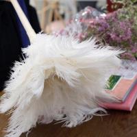 White ostrich feather duster for household car dust removal and cleaning gray chicken feather duster for cleaning and sanitation White dust removal duster