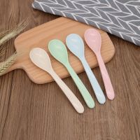 10PCS Ice Cream Coffee Spoon Caviar Spoon Mother of Pearl Seashells Stirring Spoons Teaspoon Kitchen Tool