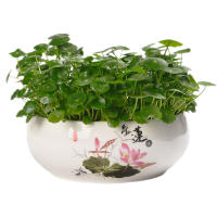 Flowerpot Succulent Pot Chinese Style Round Ceramic Succulent Planter Pots Bonsai Holder Container Living Room Home Decoration