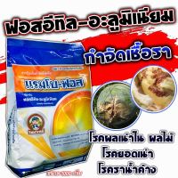 ฟอสอีทิล-อะลูมิเนียม 80% 1 กิโลกรัม สารเดียวกับ อาลีเอท กำจัดเชื้อรา โรคเน่า กำจัดโรคพืช ยาเชื้อรา ยาฉีดทุเรียน โรคยอดเน่าในพริก สับปะรด