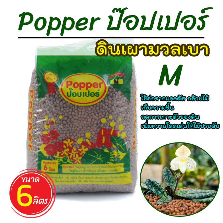 ล็อตใหม่-เม็ดดินเผา-ป๊อบเปอร์-popper-เม็ดดินเผามวลเบา-ใช้ล่อราก-เก็บความชื้น-ลดการเกาะตัวของดิน-ขนาด-6-ลิตร-homes