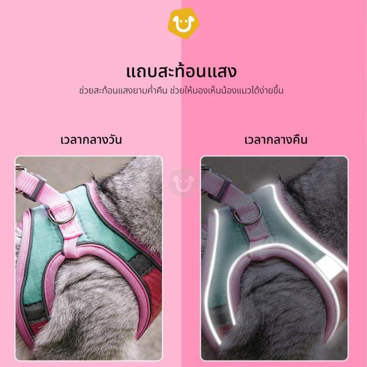 5-0-upets-เสื้อรัดอกแมว-พร้อมสายจูง-สายจูงแมว-เชือกจูงแมว-สายจูงรัดอกสัตว์เลี้ยง-สินค้าใหม่เข้าสู่ตลาด