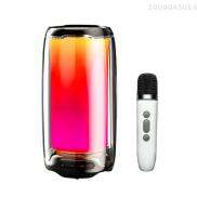 Portable BT Karaoke Speaker with Dynamic Bass 6