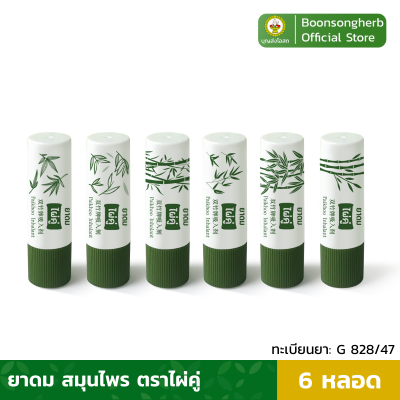 ยาดมไผ่คู่ บรรเทาอาการคัดจมูก ผลิตจากสมุนไพรไทย x6 หลอด / Paikoo Brand Inhalant x6
