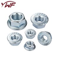 Hexagon Flange Nuts M3 M4 M5 M6 M8 M10 M12 M16 M20 304 Stainless Steel Pinking Automatic Locking Nut DIN6923 Serrated Spinlock