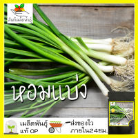 เมล็ดพันธุ์ หอมแบ่ง 300 เมล็ด Welsh Onion seeds เมล็ดพันธุ์แท้ นำเข้าจากต่างประเทศ ปลูกผัก สวนครัว ปลูกง่าย โตไว