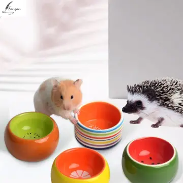 Hamster on sale food dish