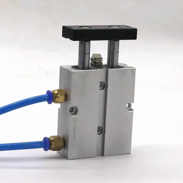 Vérin Pneumatique Double Effet TN10 Alésage 10mm - Course 30-300mm, Tige Double, En Aluminium