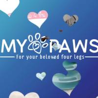 พร้อมส่ง--+สุด [โค๊ดส่วนลด] My Paws รางบอล 4 ชั้น Joy tower ทำจากพลาสติก PP คุณภาพดี สีสันน่ารักสดใส ของเล่นแมว ลดราคาถูกสุด ของเล่น ของเล่นแมว ของเล่นแมวโต แมวเด็ก ของเล่นสัตว์เลี้ยง กรง ลัง เป้ อุปกรณ์สัตว์เลี้ยง อาหาร