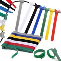5Color 2Size 10-100PCS Nylon Cable Ties Magic Fastener Tape Releasable Reusable Adjustable Cord Organizer Home Office Data Line Cable Management