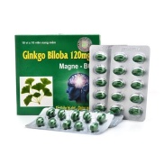 Bổ não Ginkgo Biloba 120mg - cải thiện trí nhớ, giảm mất ngủ