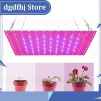 Dgdfhj Shop Power LED Plant Grow Light Lamp Kit Phytolamp For Flower 2835 Beads Growth Lighting Full Spectrum Indoor Hydroponics