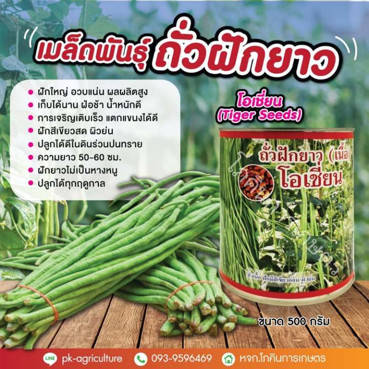 เมล็ดพันธุ์ถัวฝักยาวโอเชี่ยน-ขนาด-500-กรัม