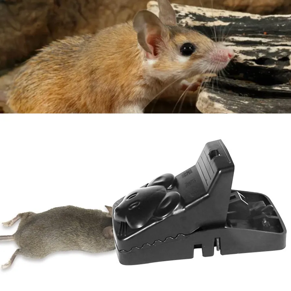 1PC Humane Mouse Trap for Indoors, Rat and Rodent Trap, Mouse Traps Catch  and Release Rat Traps, Rat Poison Substitute, Reusable and Easy to Use Snap  Mice Catcher, Pets & Children 